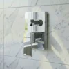 Valor Concealed Wall Mixer in Daylight