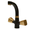 Virgo - Basin Mixer - Black and Gold